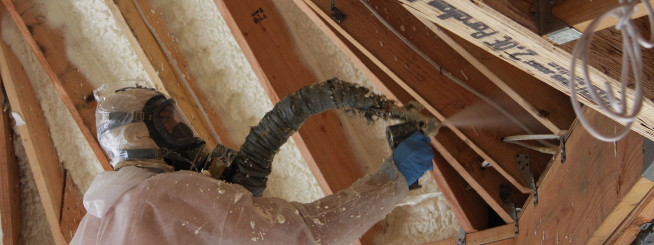  Delaware Attic Insulation Spray Foam